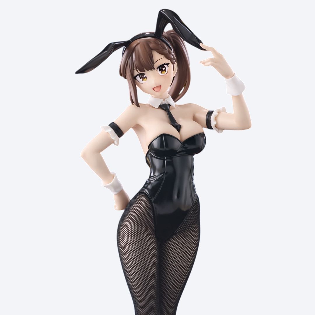 후류 BiCute Bunnies 학생회에도 구멍은 있다 코토부키 히사코